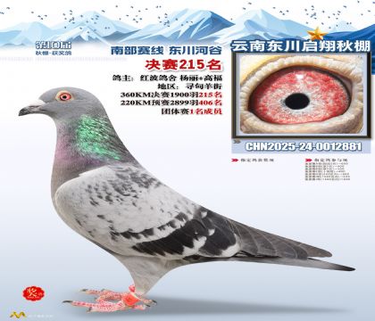 东川启翔决赛215名