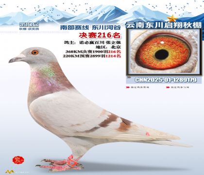 东川启翔决赛216名