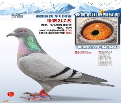 东川启翔决赛217名