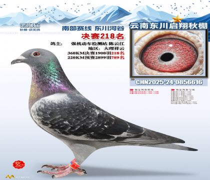 东川启翔决赛218名