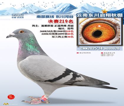 东川启翔决赛219名