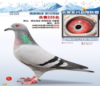 东川启翔决赛220名