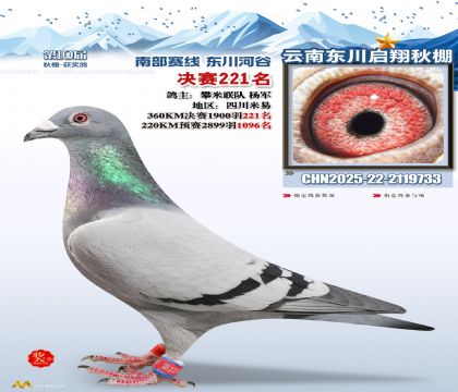 东川启翔决赛221名