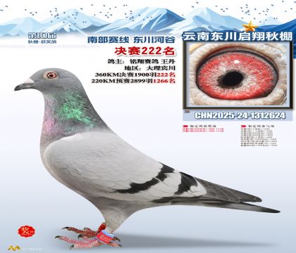 东川启翔决赛222名