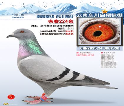 东川启翔决赛224名