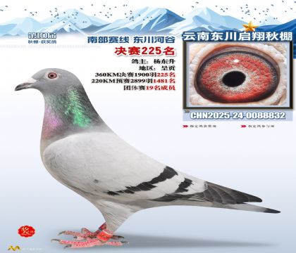 东川启翔决赛225名