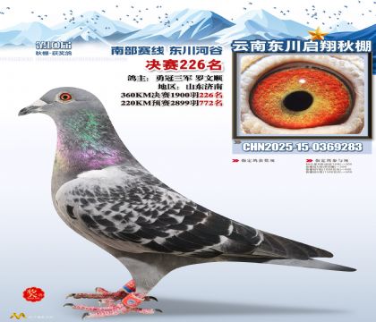 东川启翔决赛226名