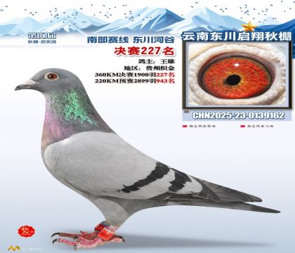 东川启翔决赛227名