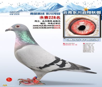 东川启翔决赛228名