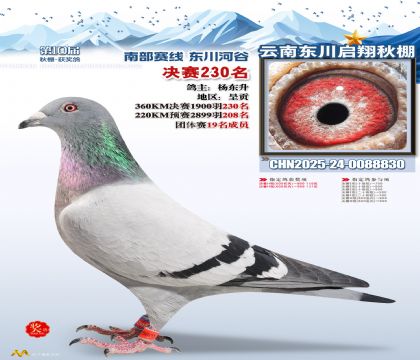 东川启翔决赛230名