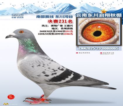 东川启翔决赛231名