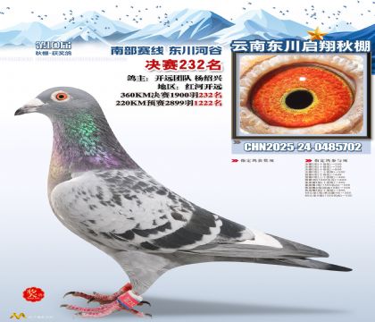 东川启翔决赛232名