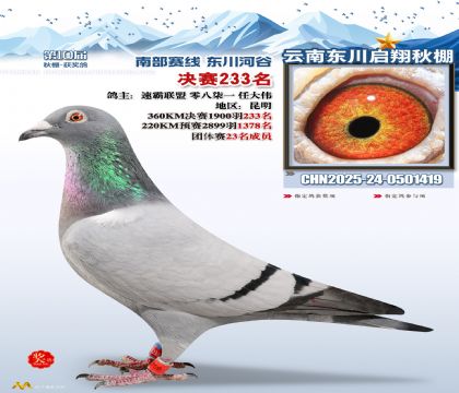 东川启翔决赛233名