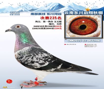 东川启翔决赛235名