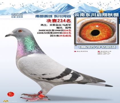 东川启翔决赛234名