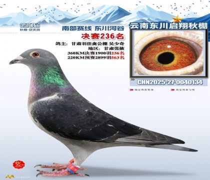 东川启翔决赛236名