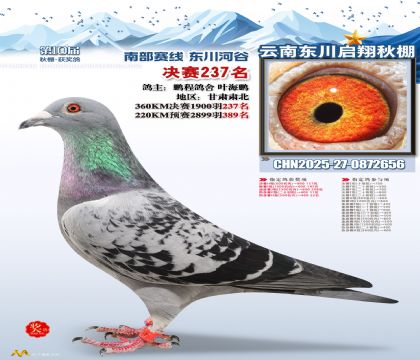 东川启翔决赛237名