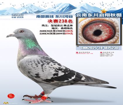 东川启翔决赛238名