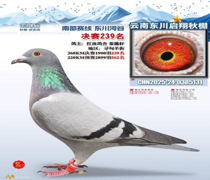 东川启翔决赛239名