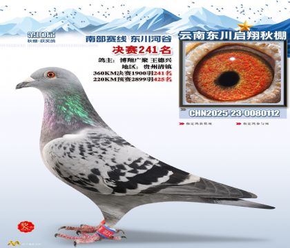 东川启翔决赛241名