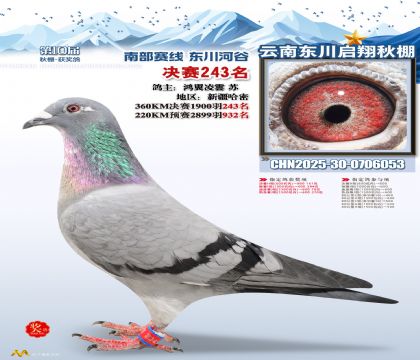 东川启翔决赛243名