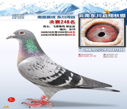 东川启翔决赛248名