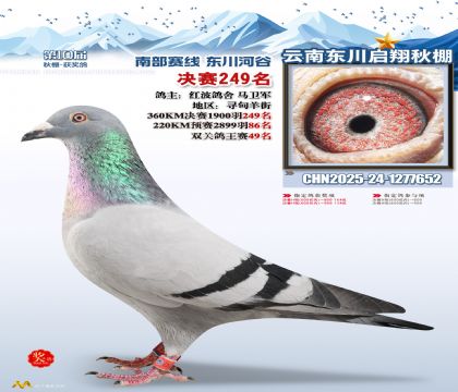 东川启翔决赛249名