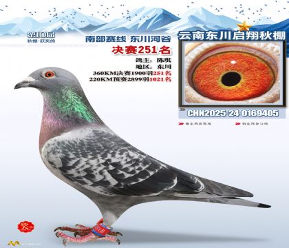 东川启翔决赛251名