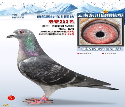 东川启翔决赛253名