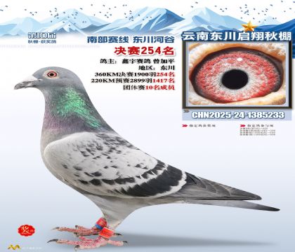 东川启翔决赛254名