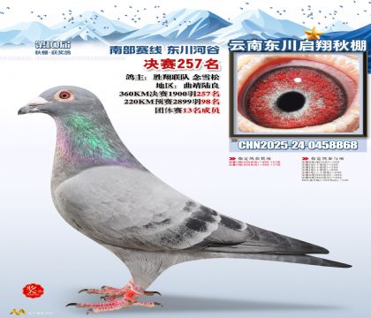 东川启翔决赛257名