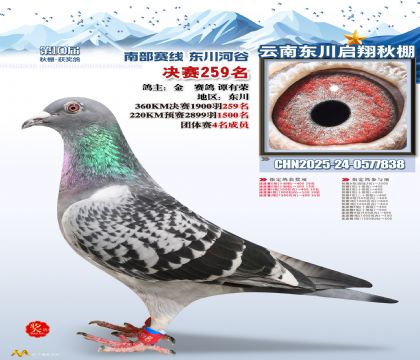 东川启翔决赛259名