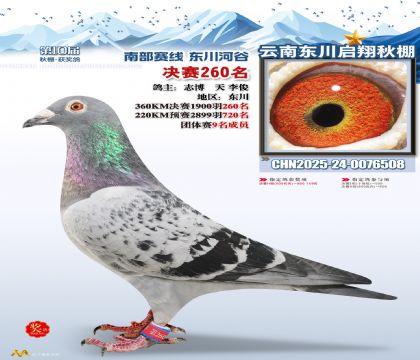 东川启翔决赛260名