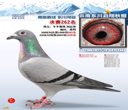 东川启翔决赛262名