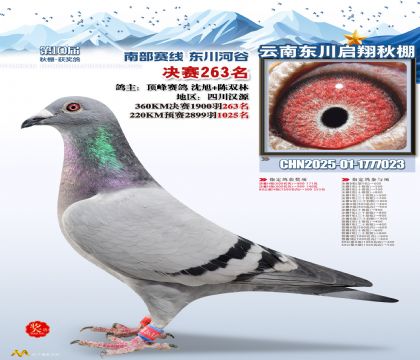 东川启翔决赛263名