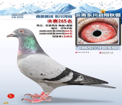 东川启翔决赛265名