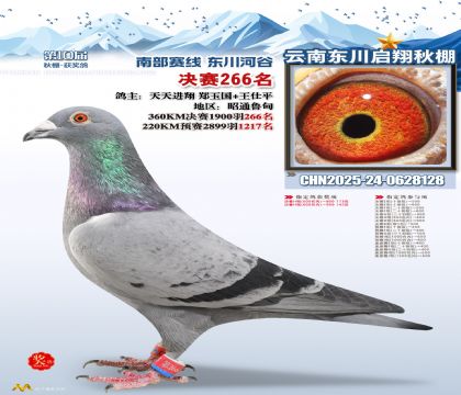 东川启翔决赛266名