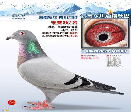 东川启翔决赛267名