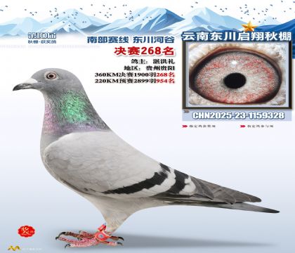 东川启翔决赛268名