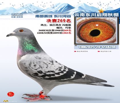 东川启翔决赛269名