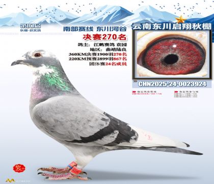 东川启翔决赛270名