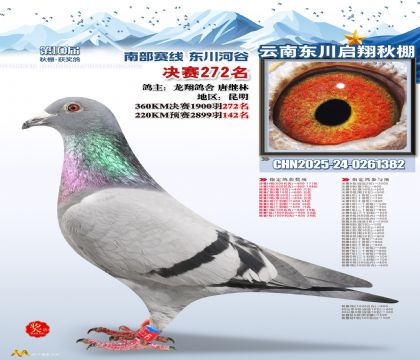 东川启翔决赛272名