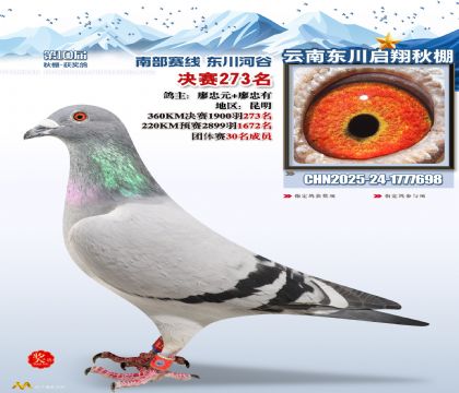 东川启翔决赛273名