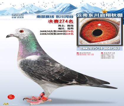 东川启翔决赛274名