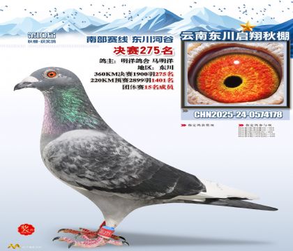 东川启翔决赛275名