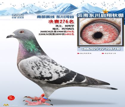 东川启翔决赛276名