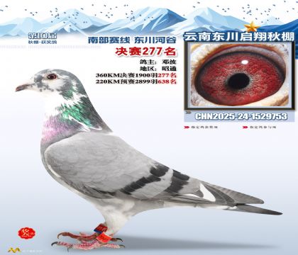 东川启翔决赛277名