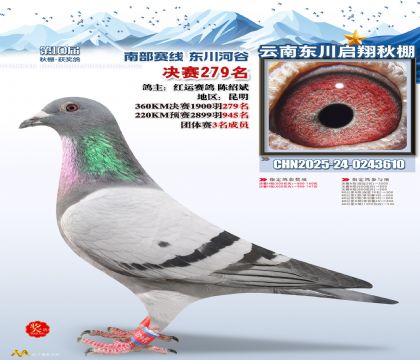 东川启翔决赛279名