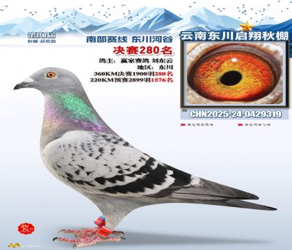 东川启翔决赛280名