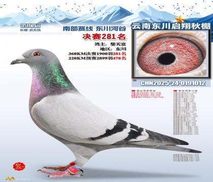 东川启翔决赛281名